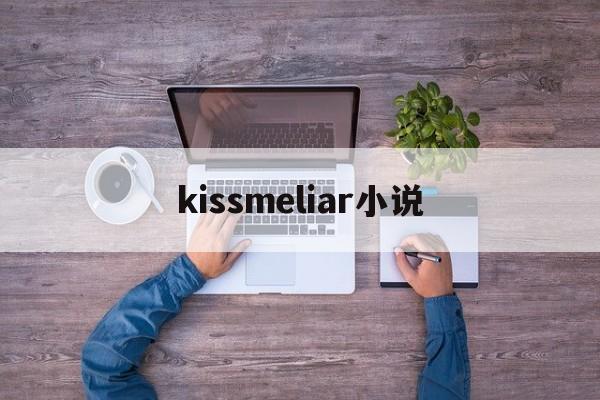 kissmeliar小说(kiss me liar小说作者)